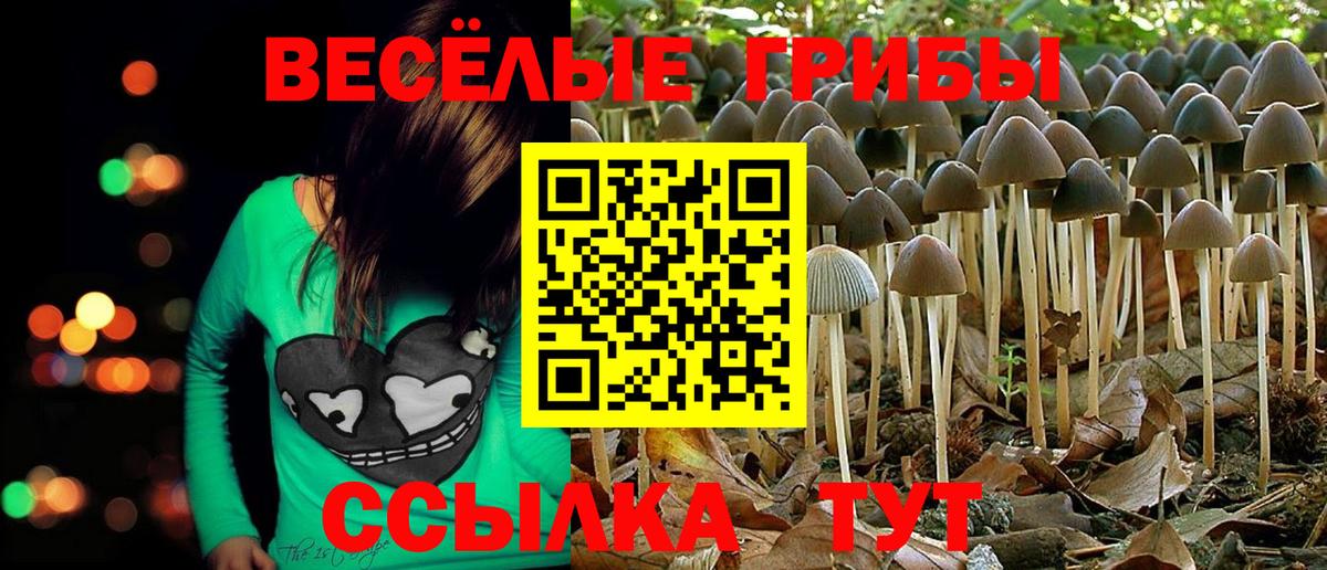 Вязьма  Галлюциногенные грибы прущие грибы  Вход с VPN  Галлюциногенные грибы Cubensis 